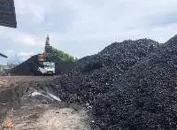 Coal