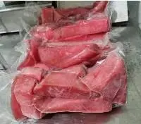 Frozen Tuna