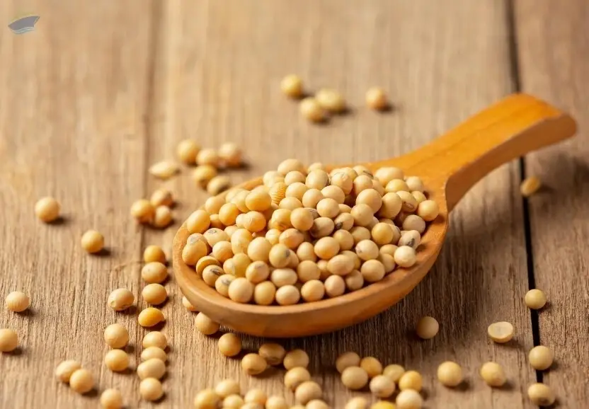 Soybeans