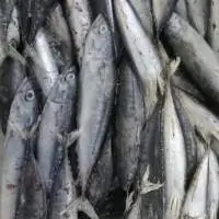 Seafood
