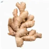 Ginger