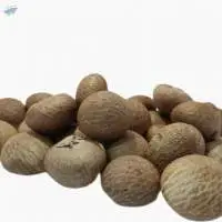 Betel Nuts