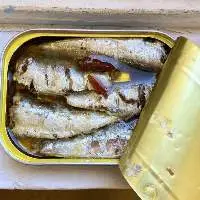 Canned Sardine