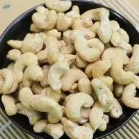Factory Supply Cashew Nuts
