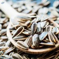 Sunflower Seeds