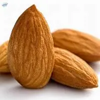 Almond Nuts