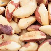 Brazil Nut