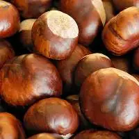 Chestnuts