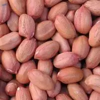Peanuts