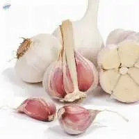Fresh White & Red Garlic For Sale