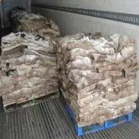 Whole Wet And Salted Cattle And Donkey Hides