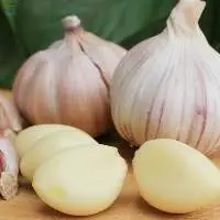 Fresh Garlic