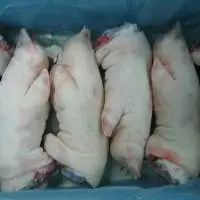 Frozen Pork Offals