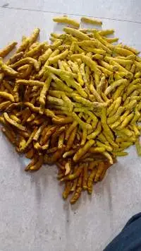 Turmeric Fingers