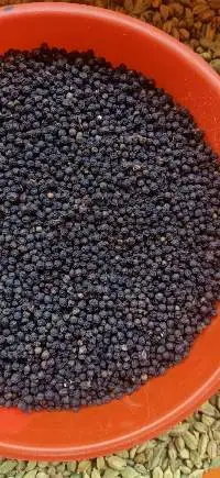 Black pepper