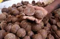 Palm Jaggery