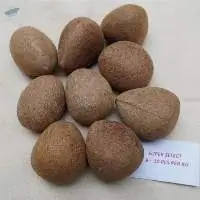 Coconut Copra