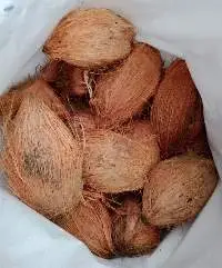 Semi Husked Coconut
