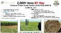 #1 Premium Sweet Sudan Hay