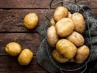 Potato