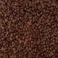 Coffee Bean