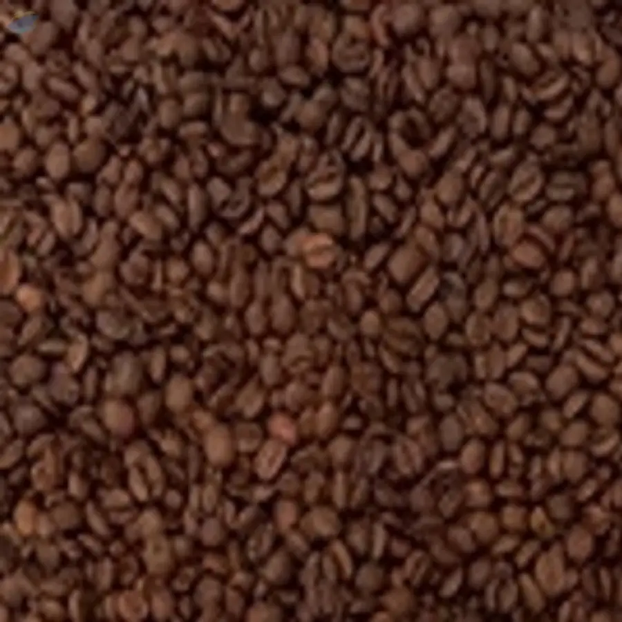 Coffee Bean