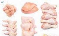 Frozen Chicken Parts