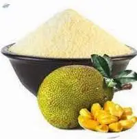 Jackfruit Powder