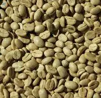 Green Coffee Beans