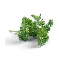 Parsley