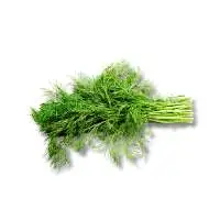 Dill