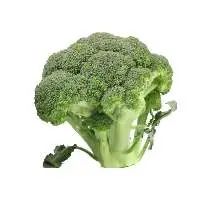 Brocolli