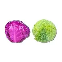 Green and red cabbage