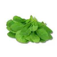 Spinach