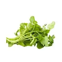 Watercress