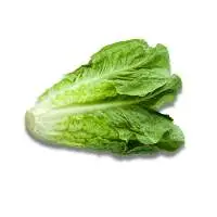 Romaine Lettuce