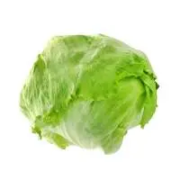 lceberg Lettuce