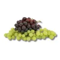Egyptian Grapes