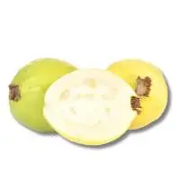 Guava
