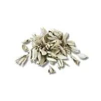 Sage