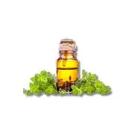 Margoram Essential Oil