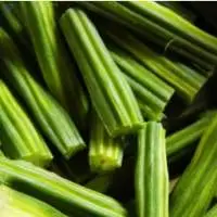 Vagetable Drumstick Moringa Oleifera