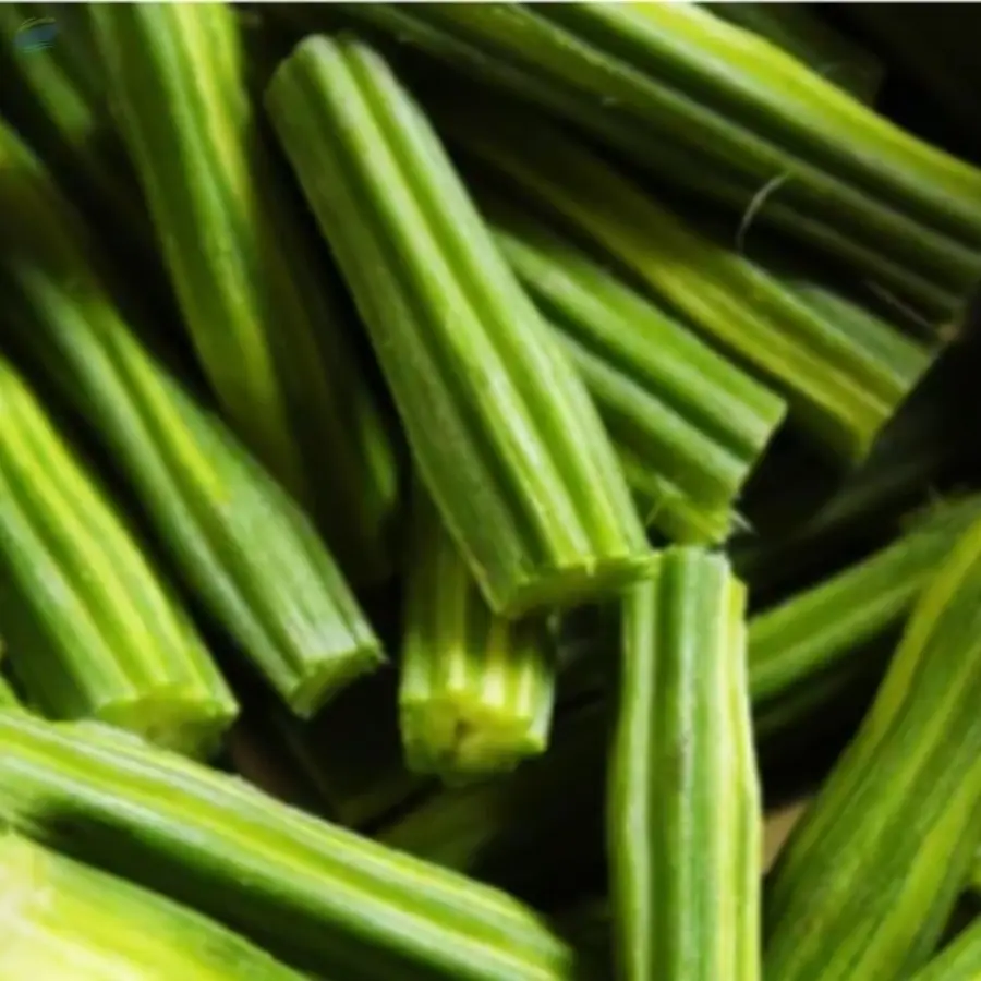 Vagetable Drumstick Moringa Oleifera