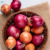 Fresh Onion