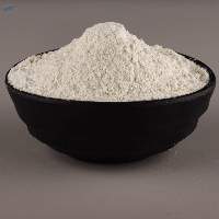Dehydrated White Onion Powder