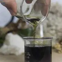 Tamanu Oil Cold Pressed Organic