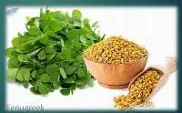 Fenugreek