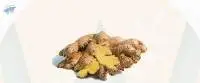 Ginger