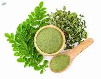 Moringa