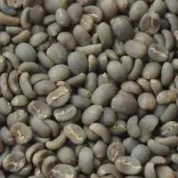 Gayo Arabica Coffee Beans